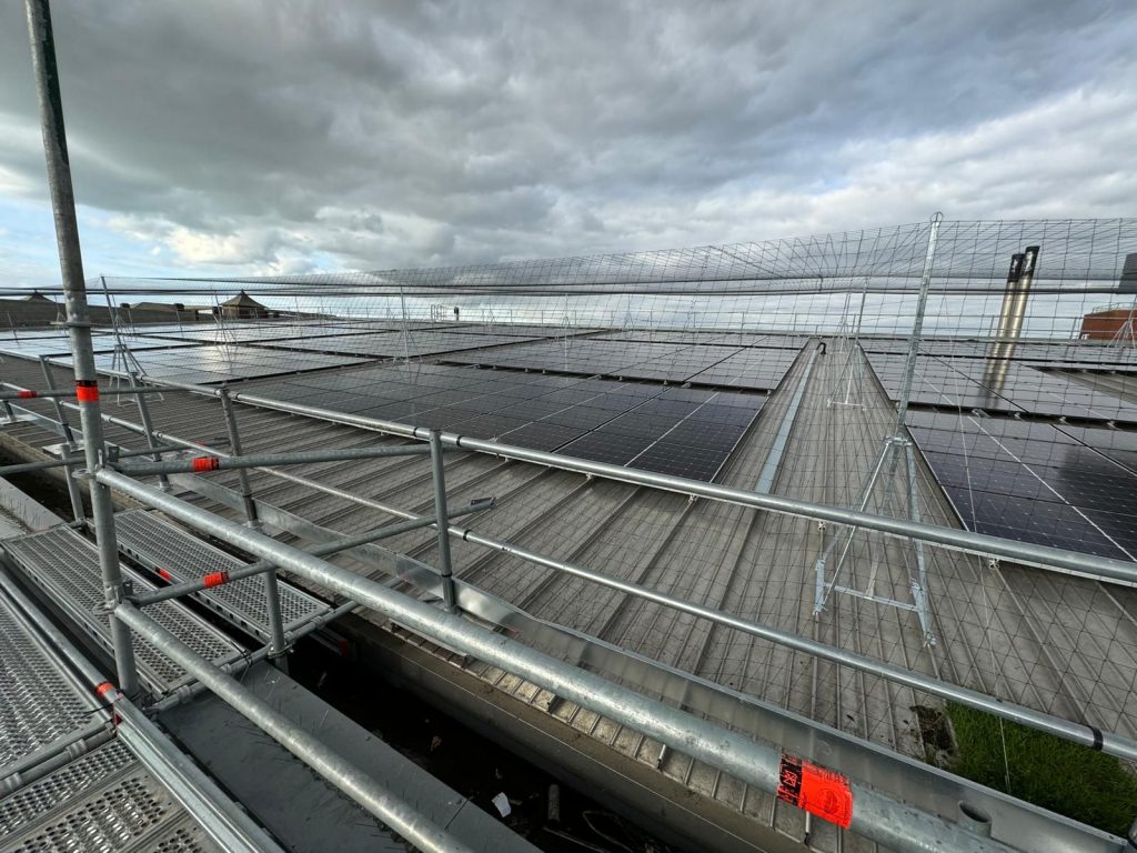 Gull netting installation