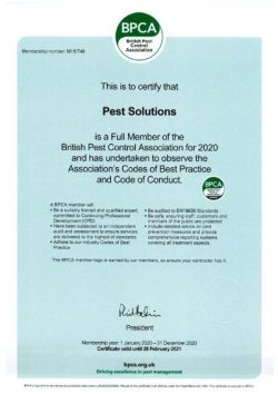 BPCA Certificate - British Pest Control Association - Pest Solutions