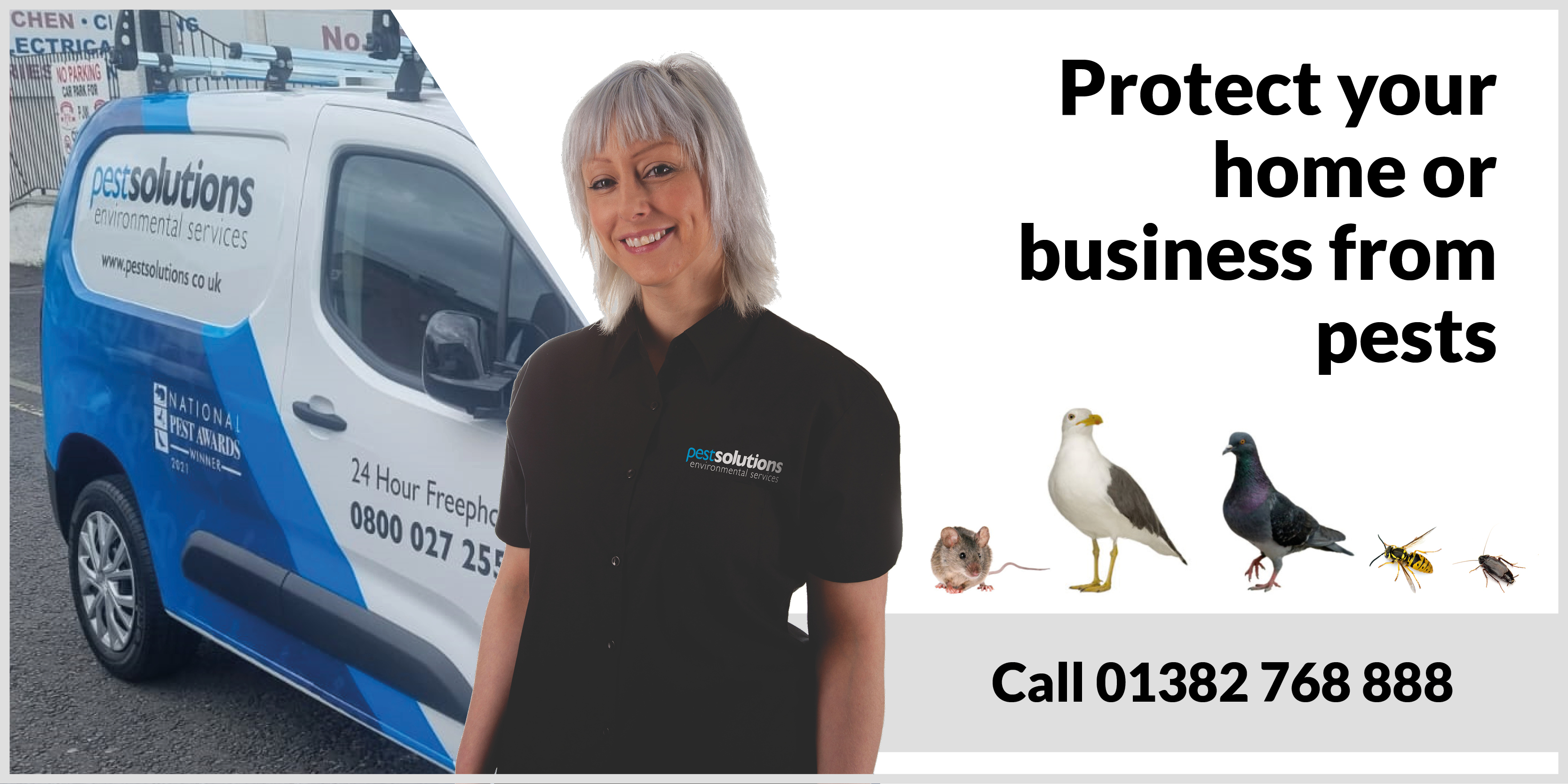 Pest Control Experts Edinburgh Pest Solutions