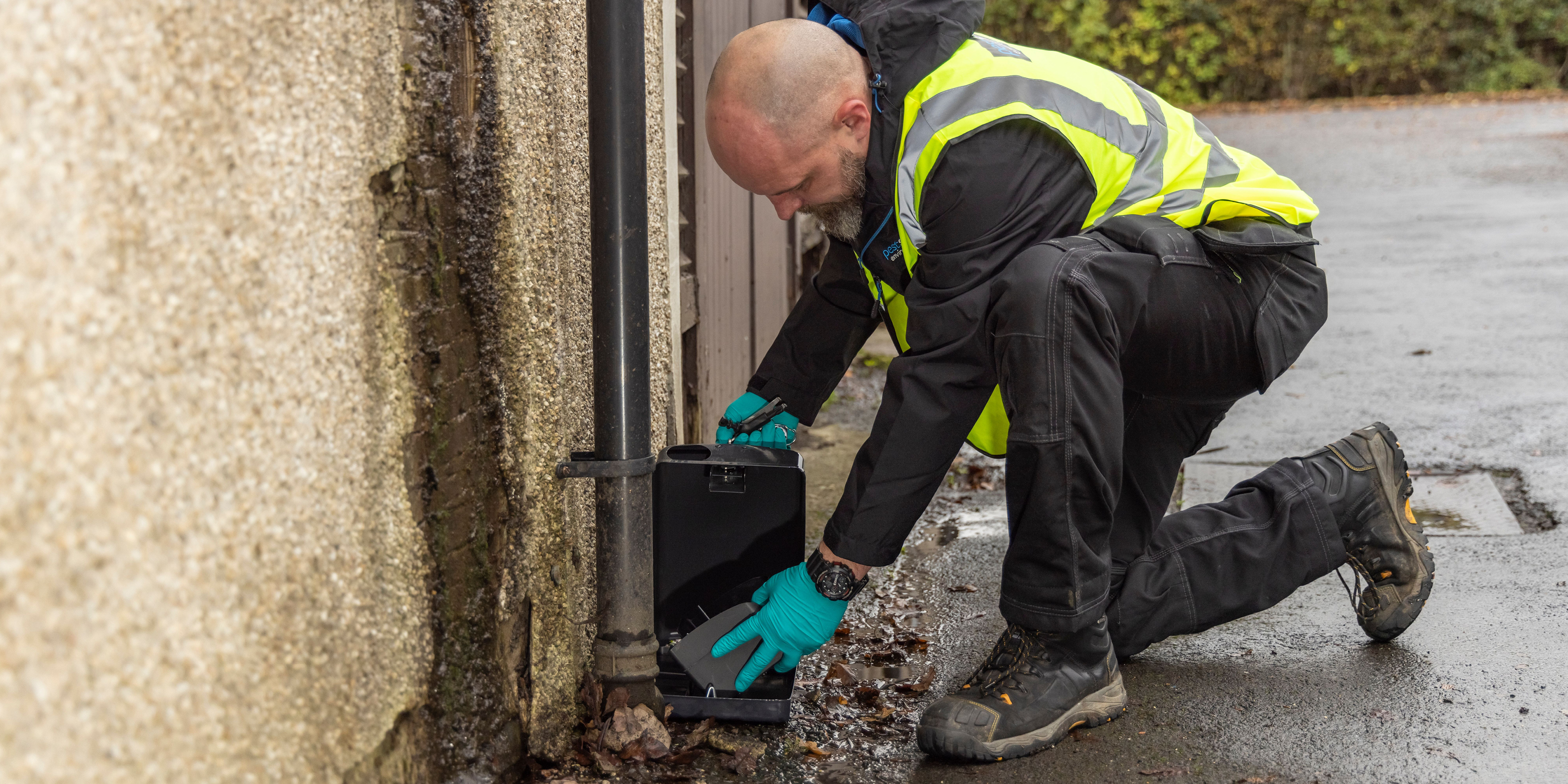 Call Pest Solutions Coatham|Coatham Area Pest Solutions|Coatham Branch of Pest Solutions|Coatham Office Pest Solutions|Coatham Pest Solutions Team|Coatham Scotland Pest Solutions|Pest Solutions Coatham Branch|Pest Solutions Coatham|Pest Solutions in Coatham|Pest Solutions Team in Coatham}