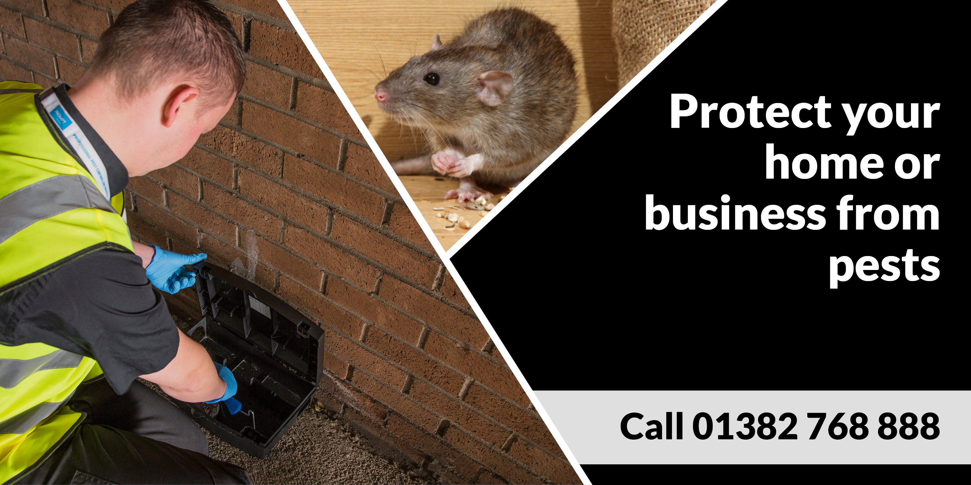 Dundee Branch of Pest Solutions