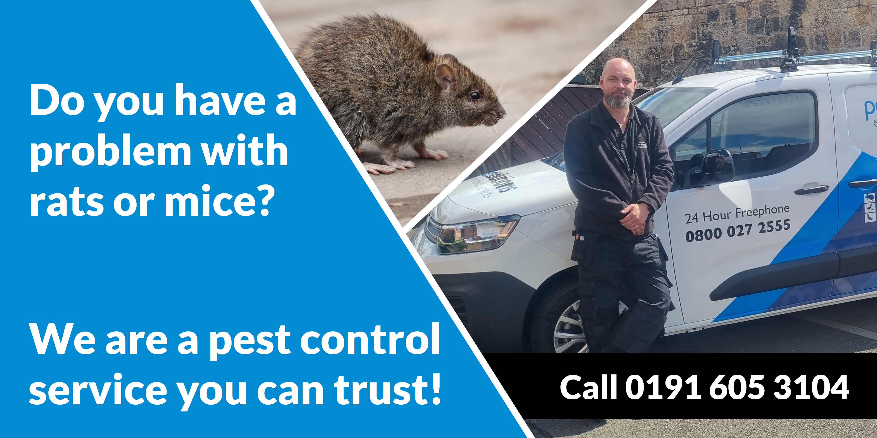 BPCA Pest Control Amble Pest Solutions|Expert Pest Control Amble Pest Solutions|Pest Control Amble Pest Solutions|Pest Control Company Amble Pest Solutions|Pest Control Experts Amble Pest Solutions|Pest Control Professionals Amble Pest Solutions|Pest Control Services Amble Pest Solutions|Pest Management Amble Pest Solutions|Pest Prevention Amble Pest Solutions|Professional Pest Control Amble Pest Solutions}