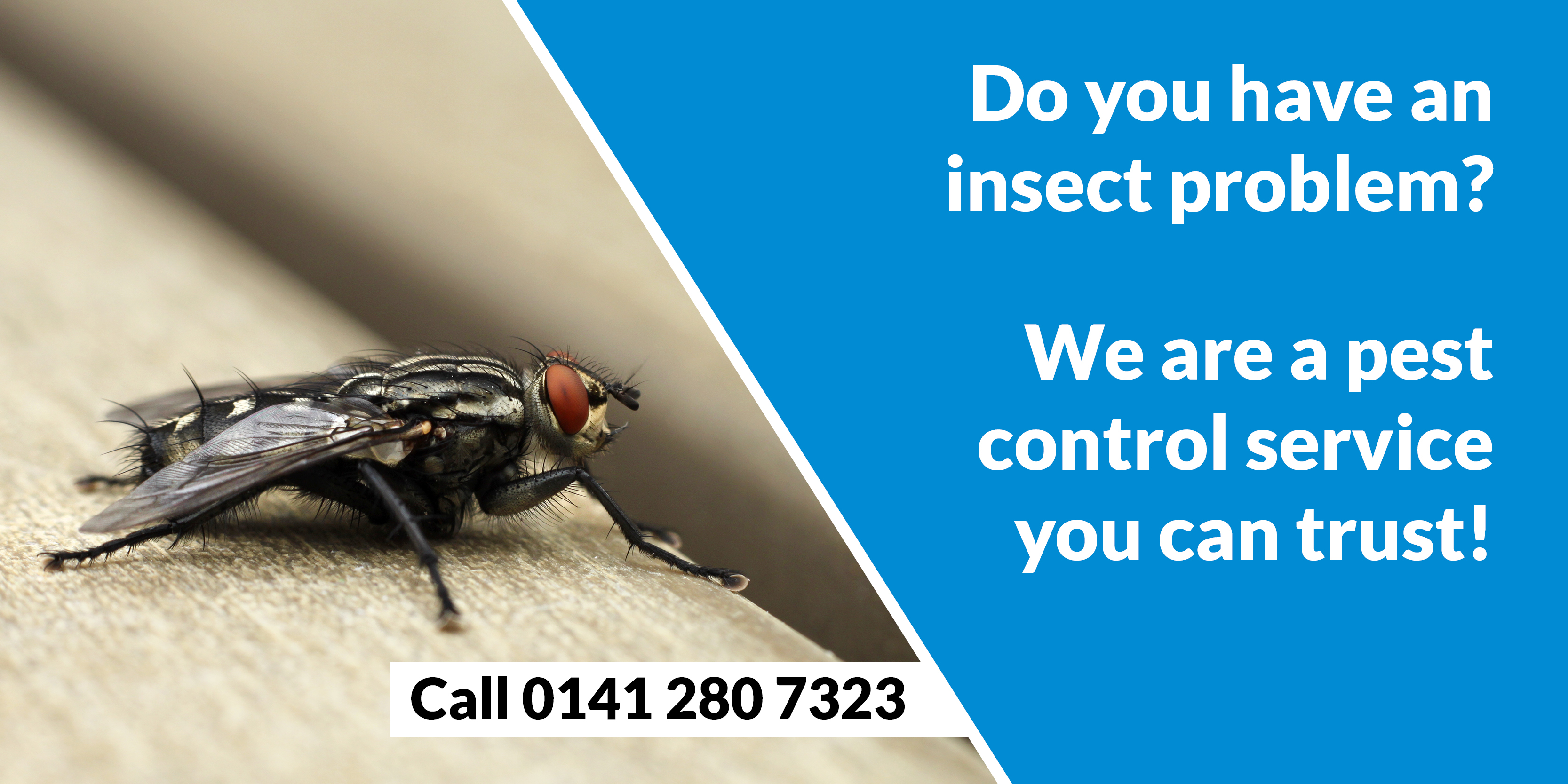 Pest Control Experts Glasgow Pest Solutions