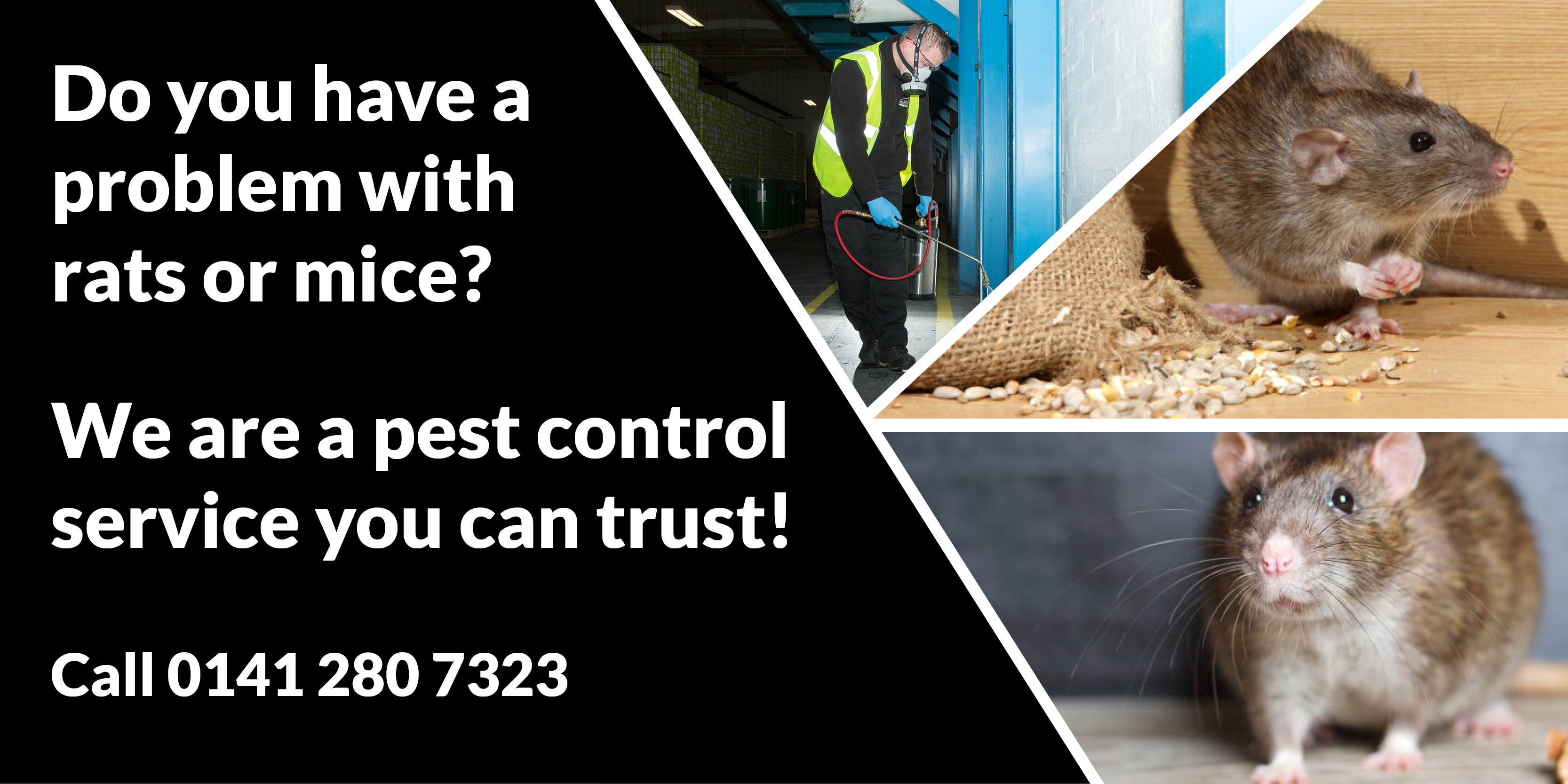 Pest Prevention Glasgow Pest Solutions