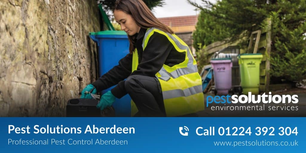 pest-control-aberdeen-pest-solutions